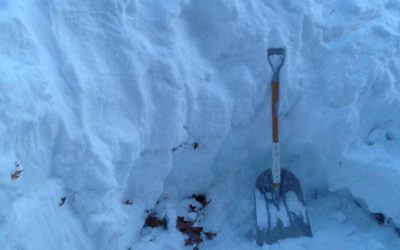 My Shovel