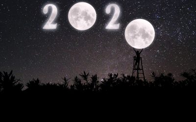 Despite the Difficulties, There Are Many Things to Be Grateful for in 2020